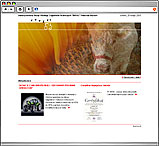 Strony internetowe
